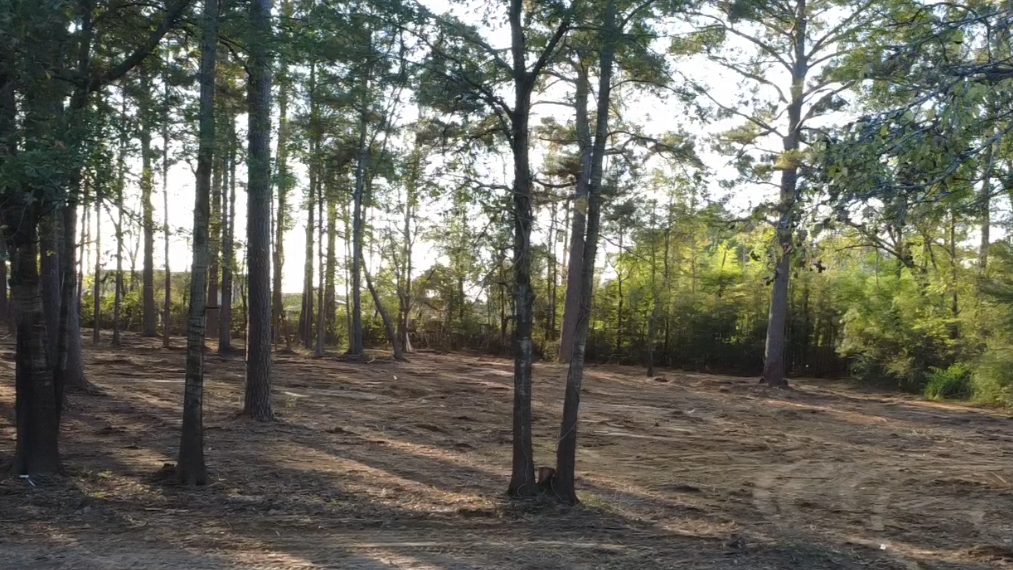 Land clearing and brush removal East Texas